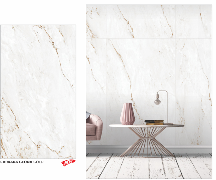 PRPLMR.0489 AMBIENTE.png