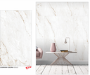 PRPLMR.0489 AMBIENTE.png
